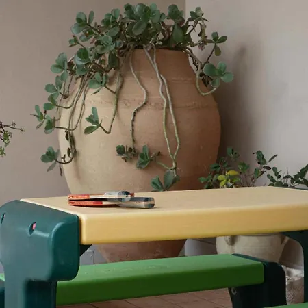 Sammit Willa Michelica